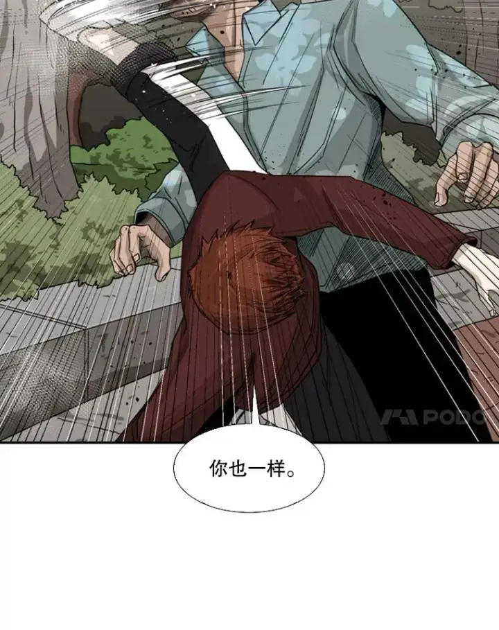 漫画《鲨鱼》62.正面交锋第68张图