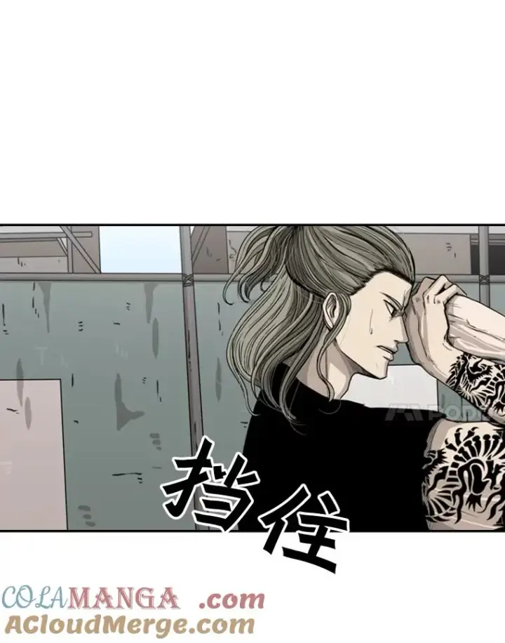 漫画《鲨鱼》64.正面交锋（3）第21张图