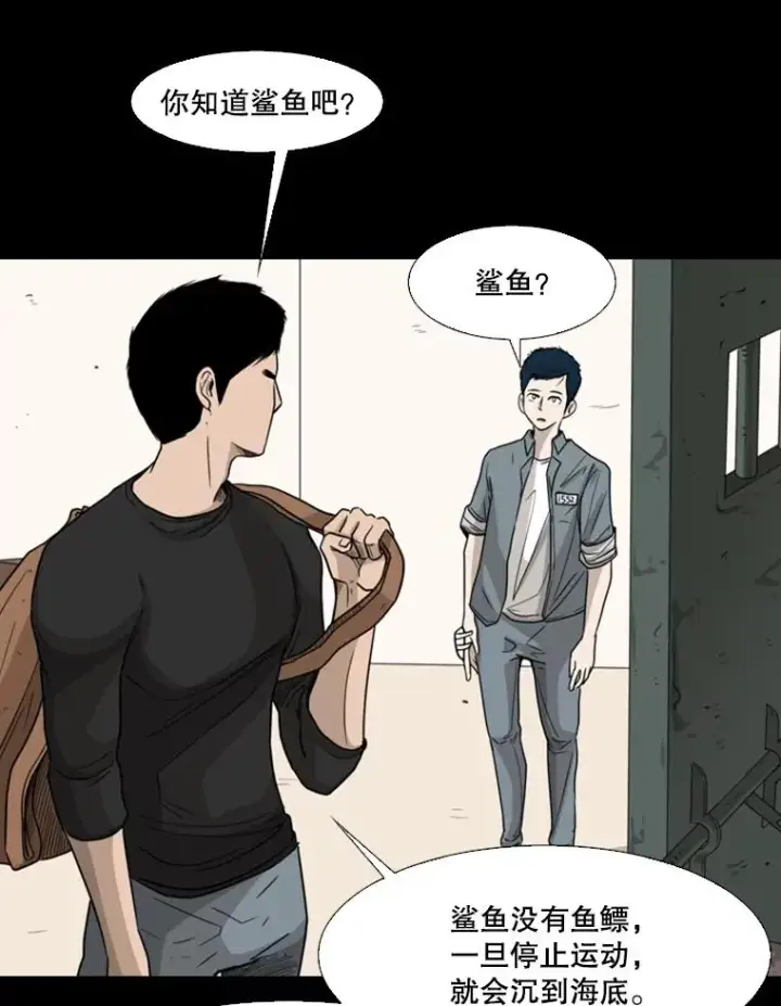 漫画《鲨鱼》64.正面交锋（3）第94张图