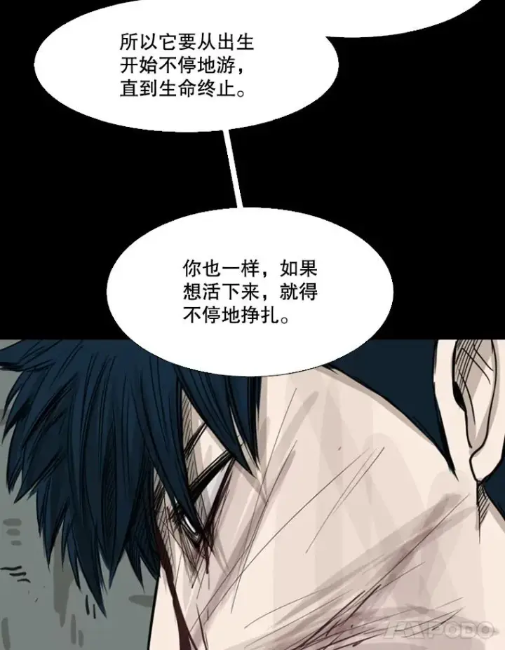 漫画《鲨鱼》64.正面交锋（3）第95张图