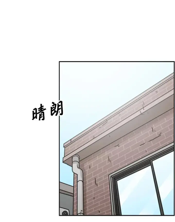 漫画《鲨鱼》67.新的开始第10张图