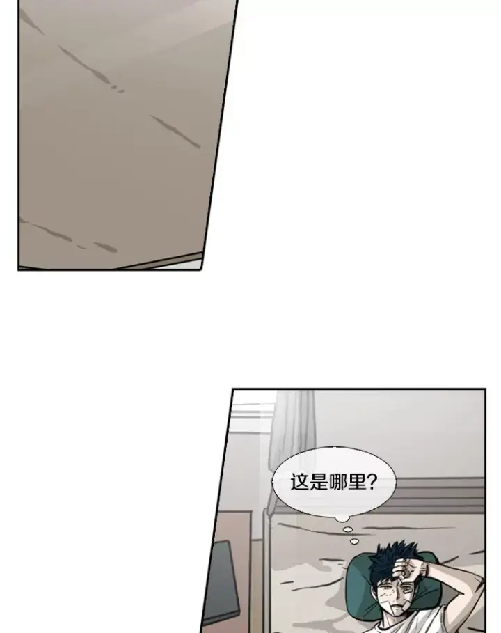 漫画《鲨鱼》67.新的开始第14张图