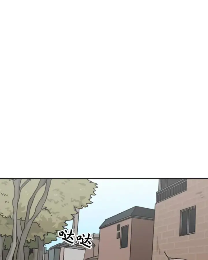 漫画《鲨鱼》67.新的开始第28张图