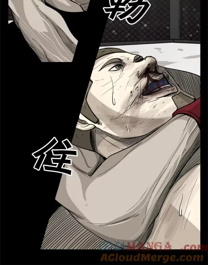 漫画《鲨鱼》67.新的开始第89张图