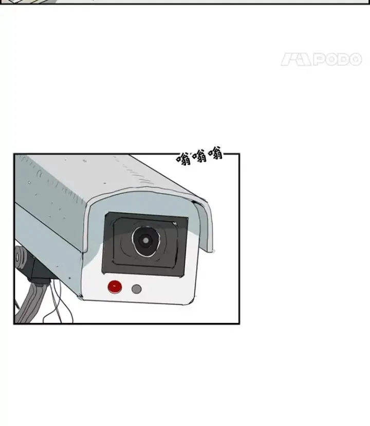 《鲨鱼》6.冲突图107