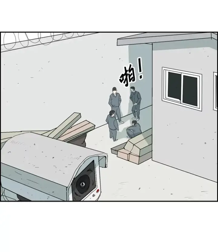 《鲨鱼》6.冲突图108