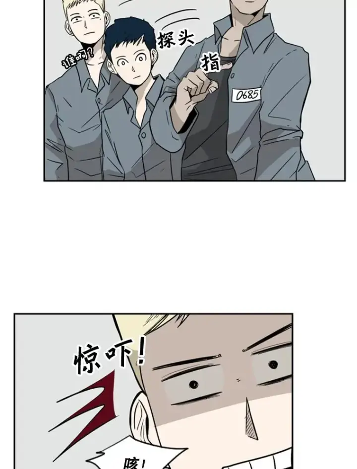《鲨鱼》6.冲突图28