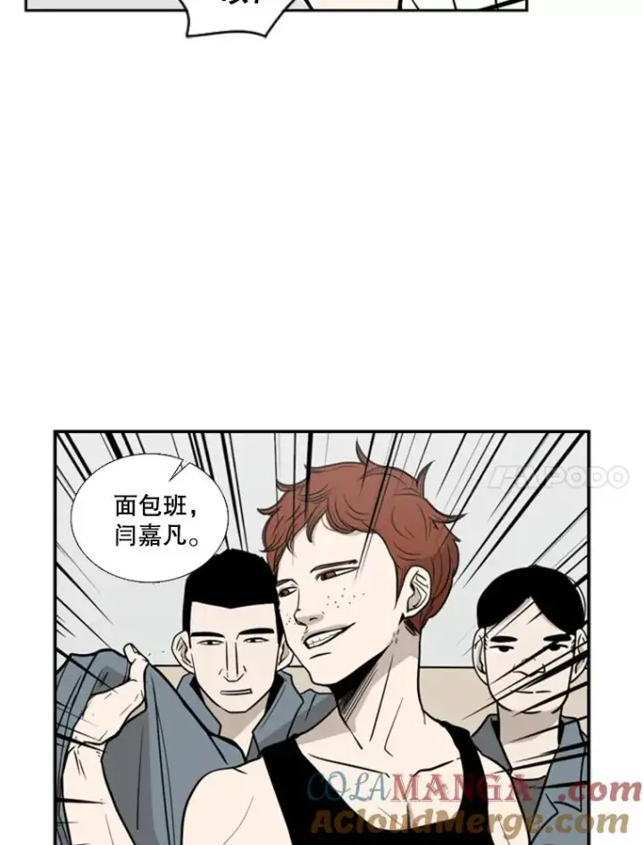 《鲨鱼》6.冲突图29