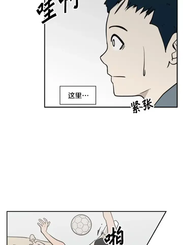 《鲨鱼》6.冲突图39