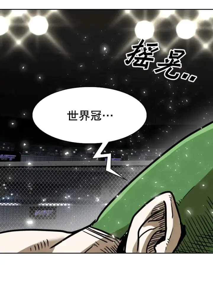 《鲨鱼》293.两败俱伤之胜图68