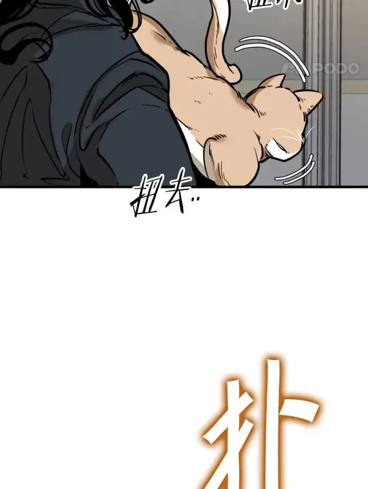 《鲨鱼》301.妍迪来访图12