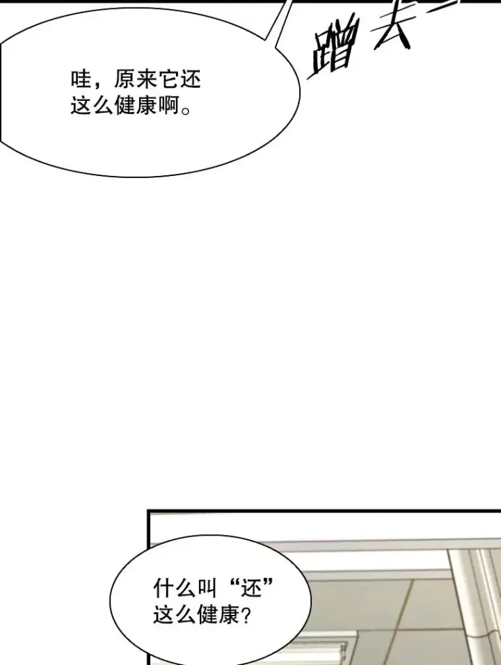 《鲨鱼》301.妍迪来访图16
