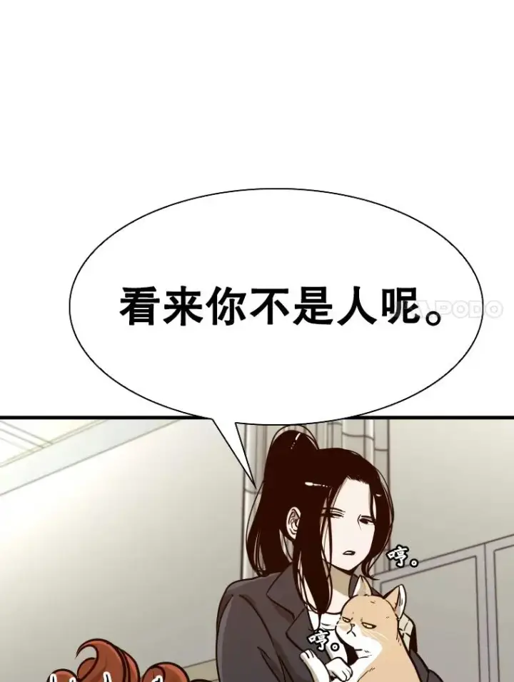 《鲨鱼》301.妍迪来访图31