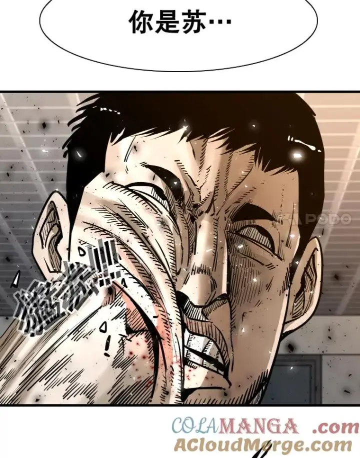 《鲨鱼》304.苏胜宸的颓废图41