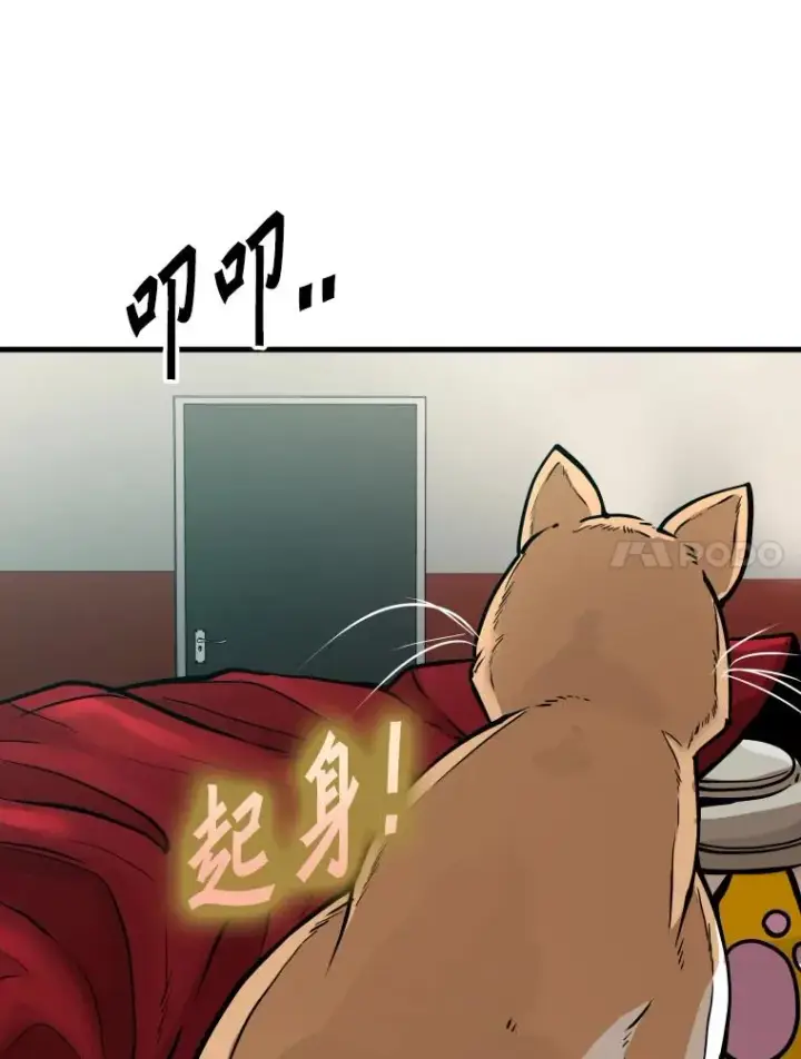 《鲨鱼》307.妍迪的一分钟KO图14