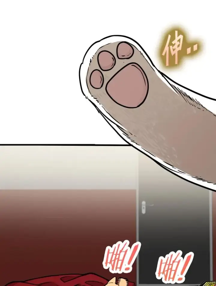 《鲨鱼》307.妍迪的一分钟KO图16