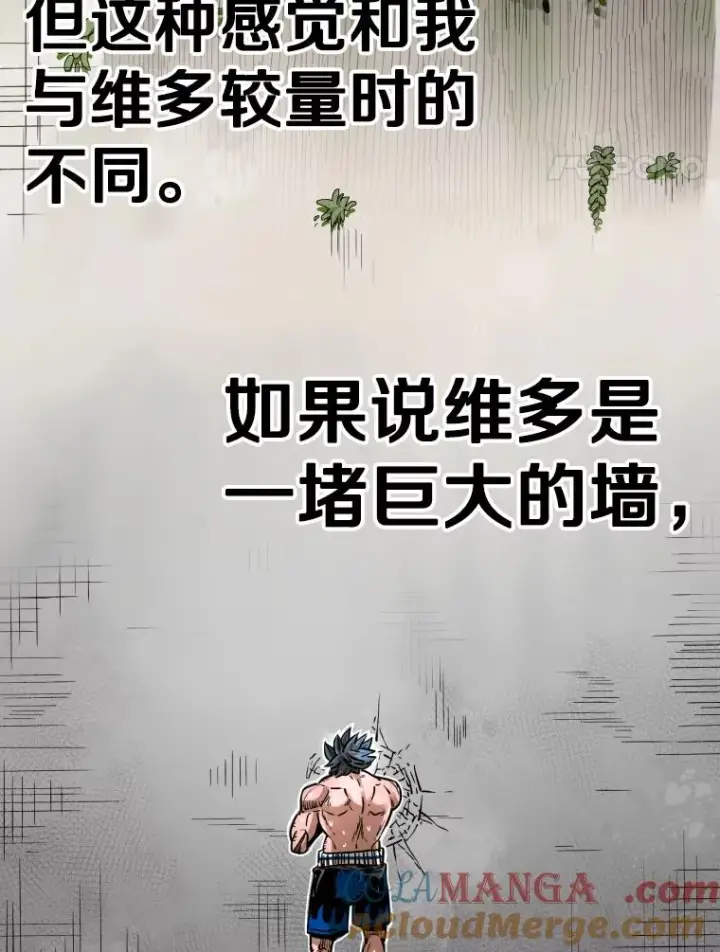 《鲨鱼》323.友谊赛图101