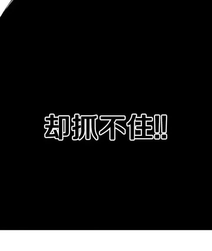 《鲨鱼》323.友谊赛图107