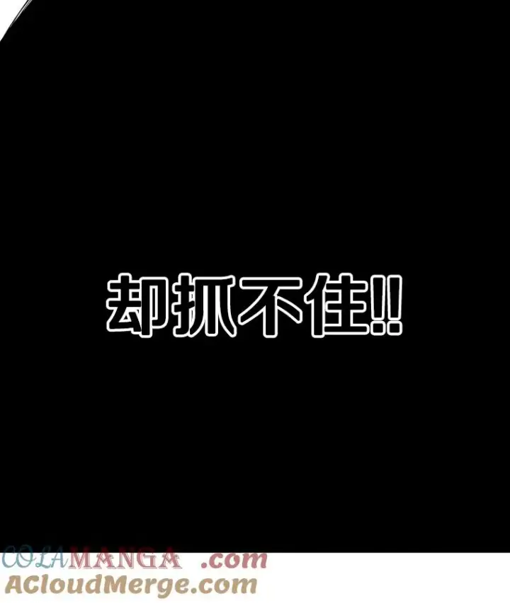 《鲨鱼》324.专属特点图5