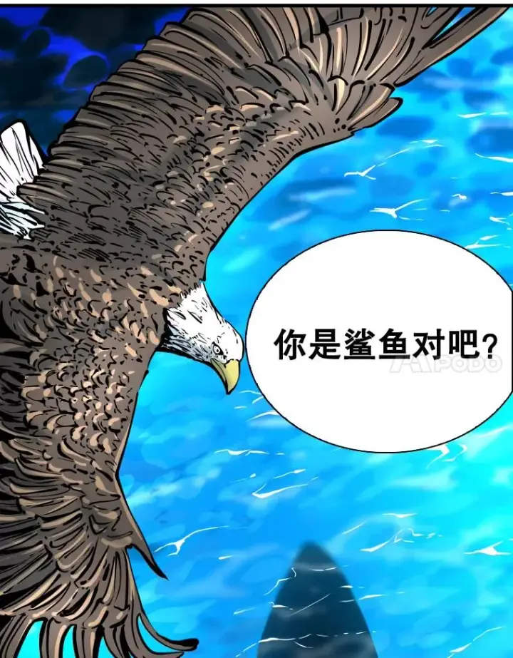 《鲨鱼》325.错误教导图78