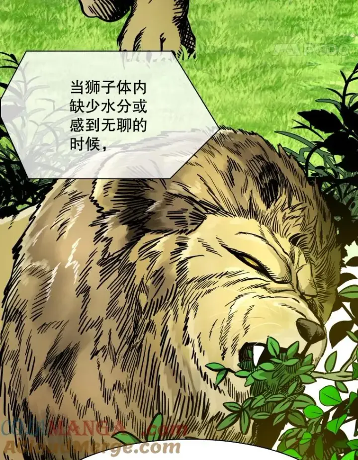 《鲨鱼》331.寻找合适人选图41
