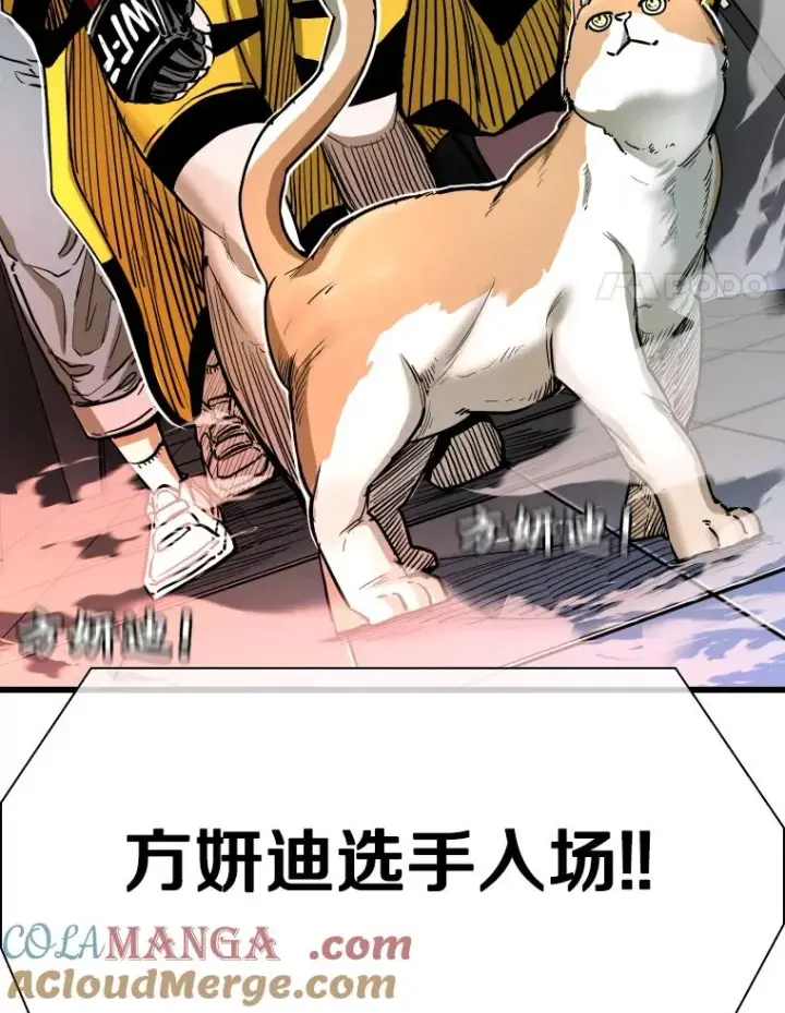 《鲨鱼》338.天敌图21