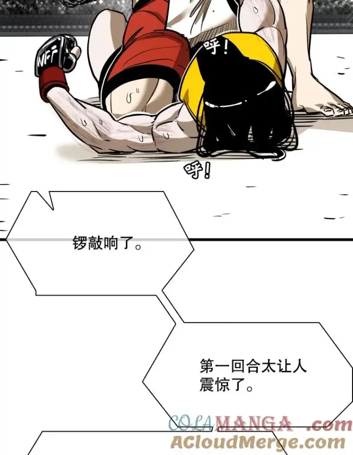 《鲨鱼》338.天敌图69