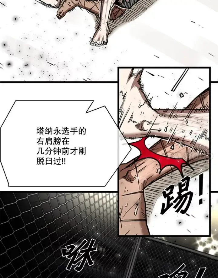 《鲨鱼》346.TKO胜利图15