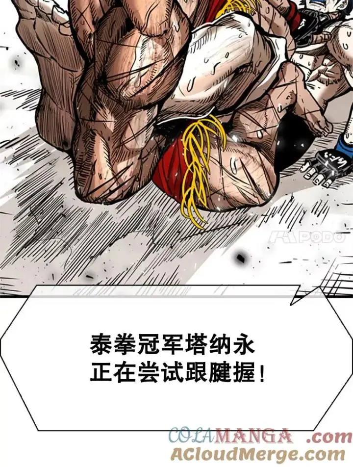 《鲨鱼》346.TKO胜利图61