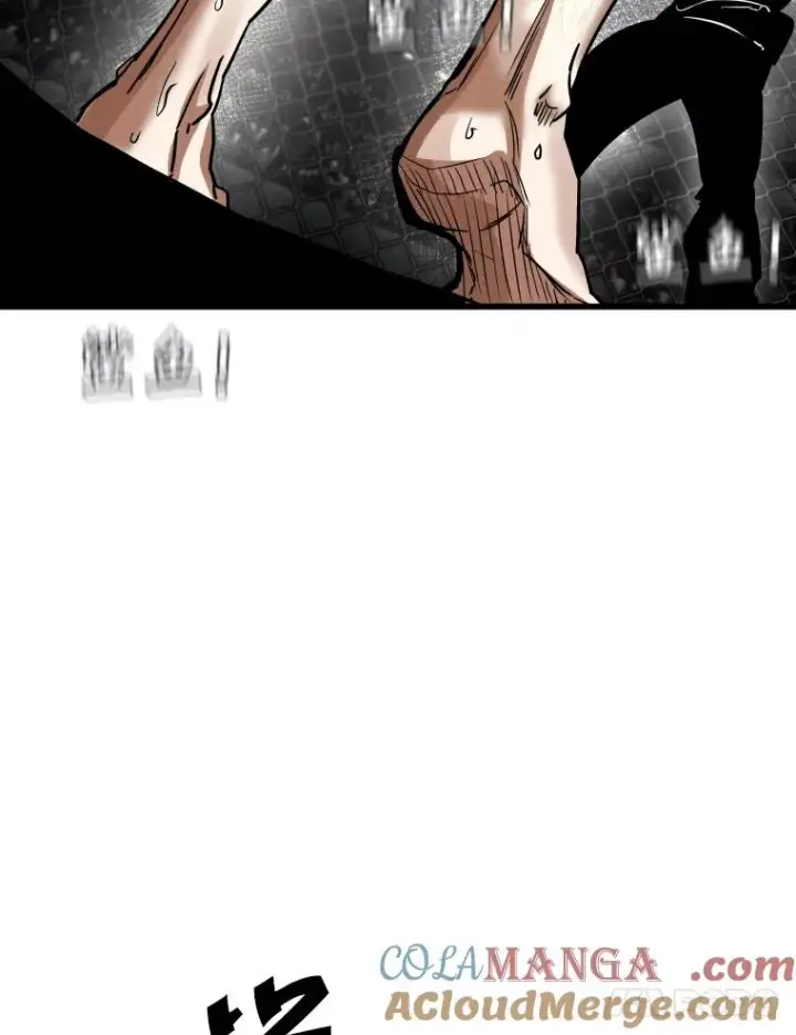 《鲨鱼》347.赛后感言图17