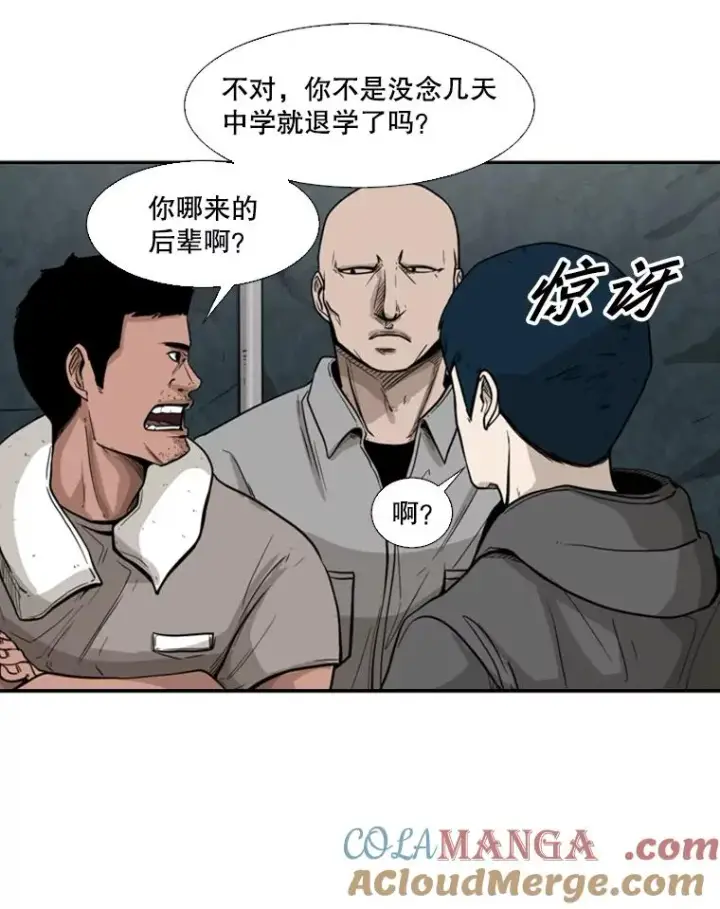 漫画《鲨鱼》78.被暗算第29张图