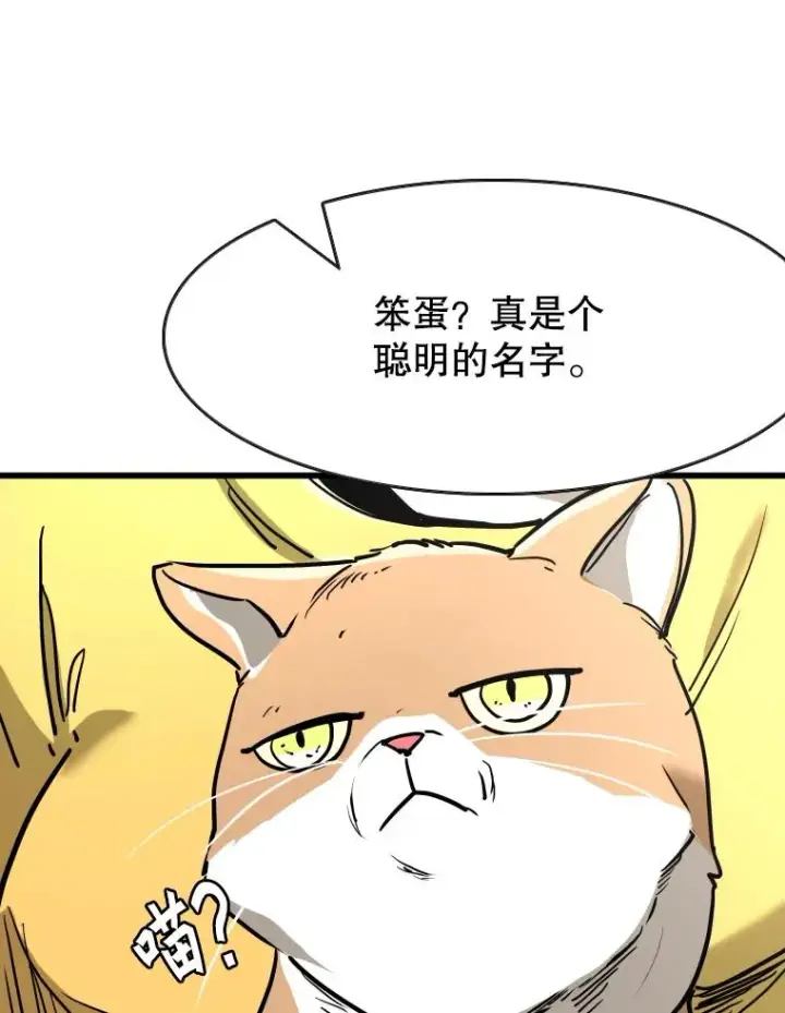 《鲨鱼》353.五号乐园图98
