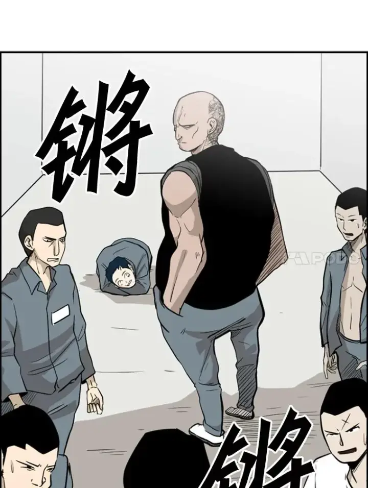 《鲨鱼》7.初次见面图5