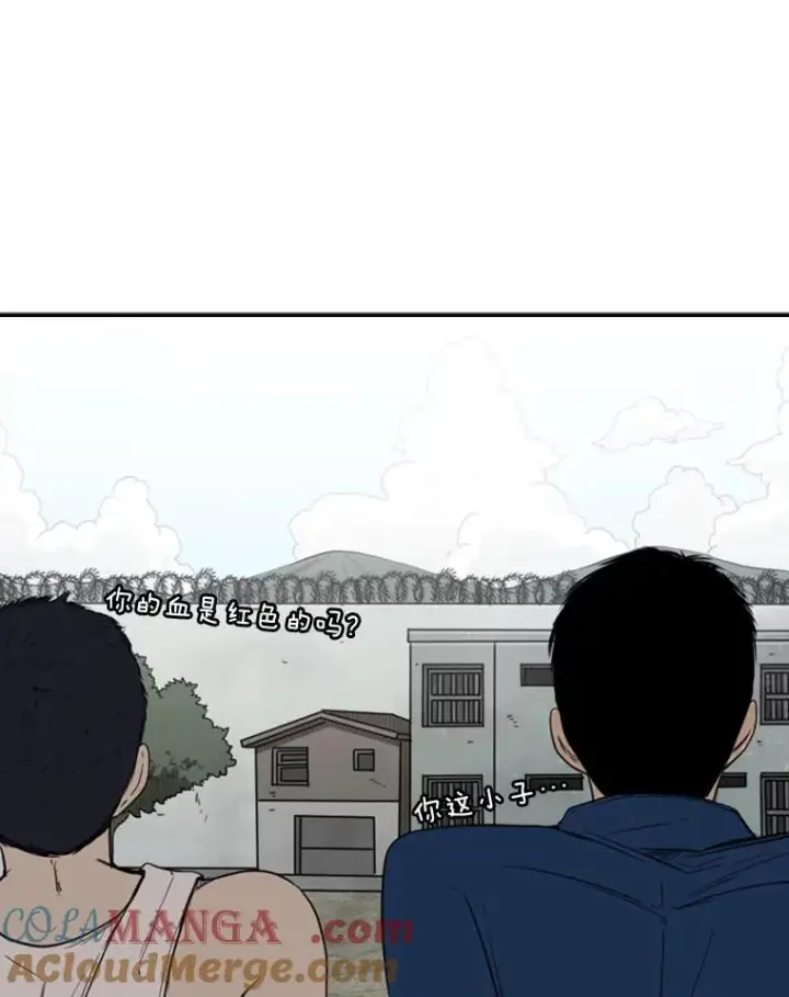 漫画《鲨鱼》80.自己的实力第61张图