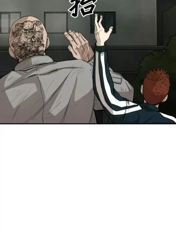 漫画《鲨鱼》90.亲自去会面第26张图