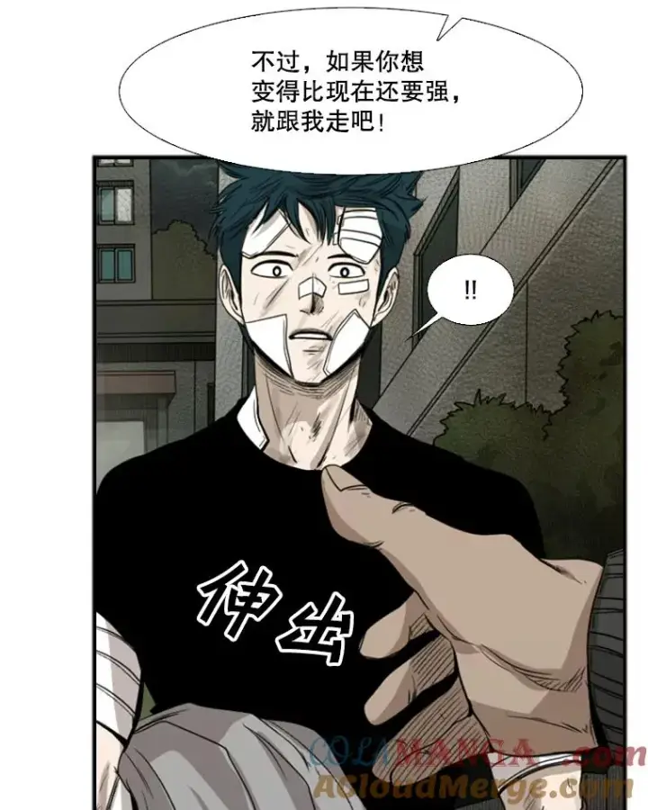 漫画《鲨鱼》90.亲自去会面第41张图