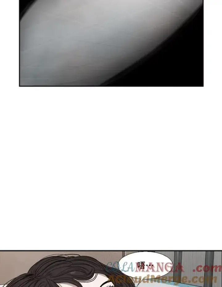 漫画《鲨鱼》90.亲自去会面第49张图