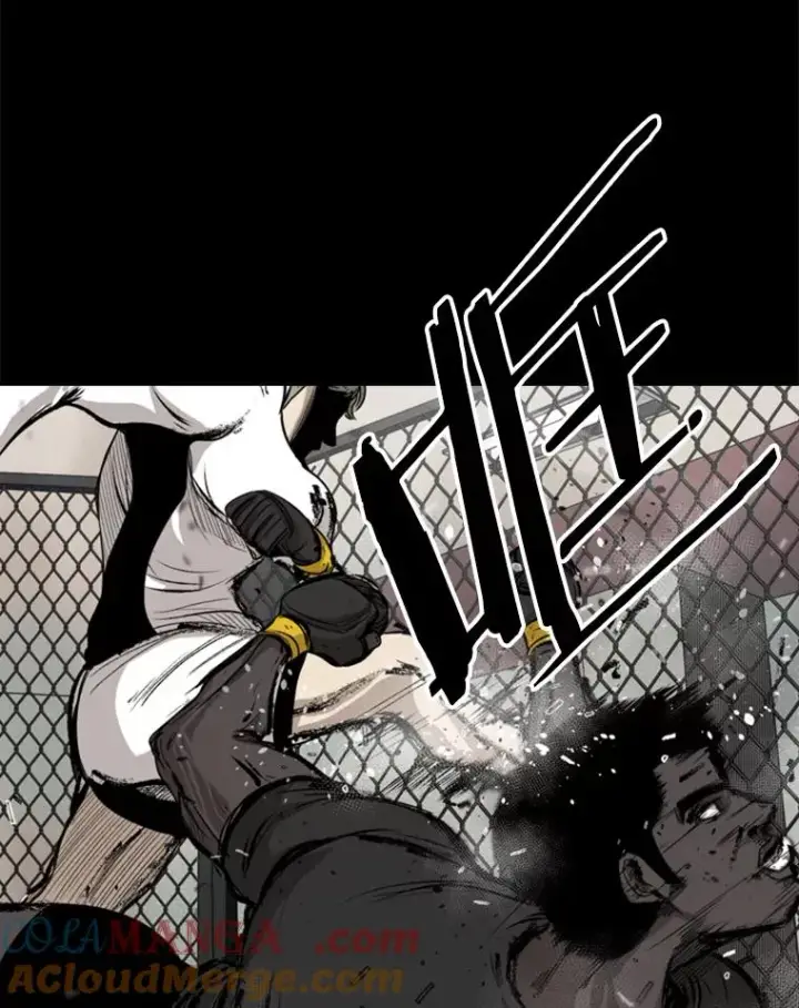 漫画《鲨鱼》94.踢馆第33张图