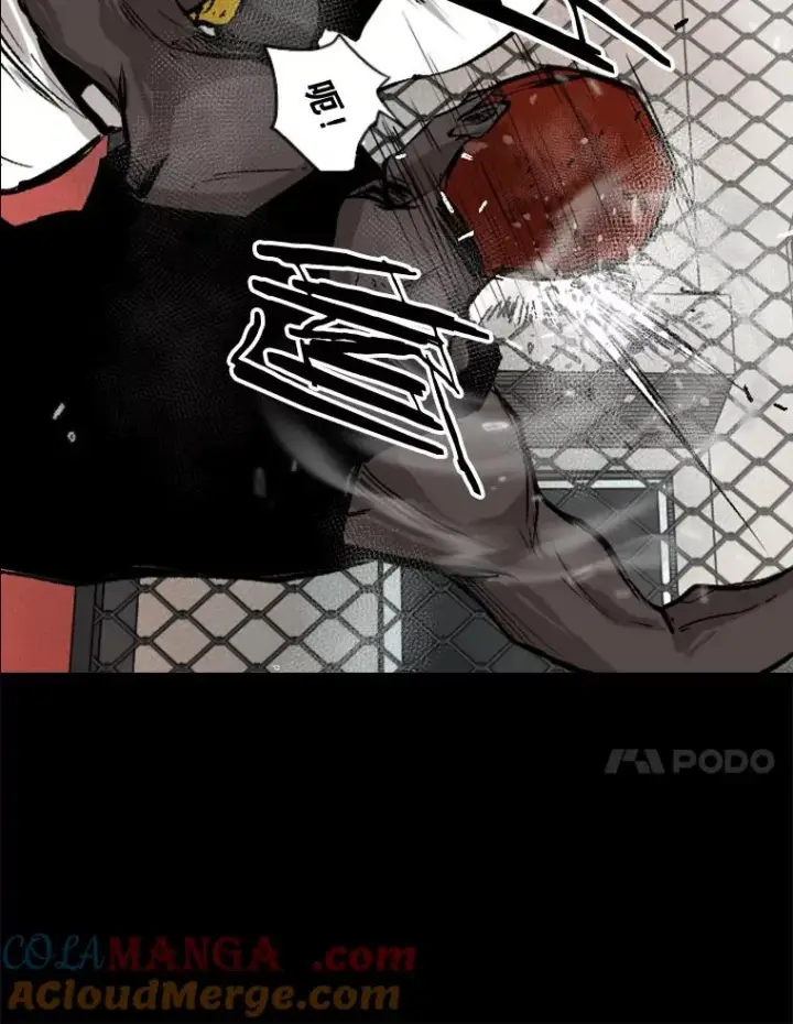 漫画《鲨鱼》94.踢馆第61张图