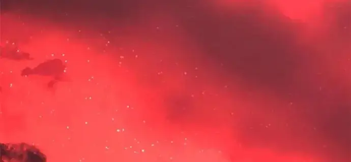 《身患绝症的天才黑暗骑士》第2季 第56话图327