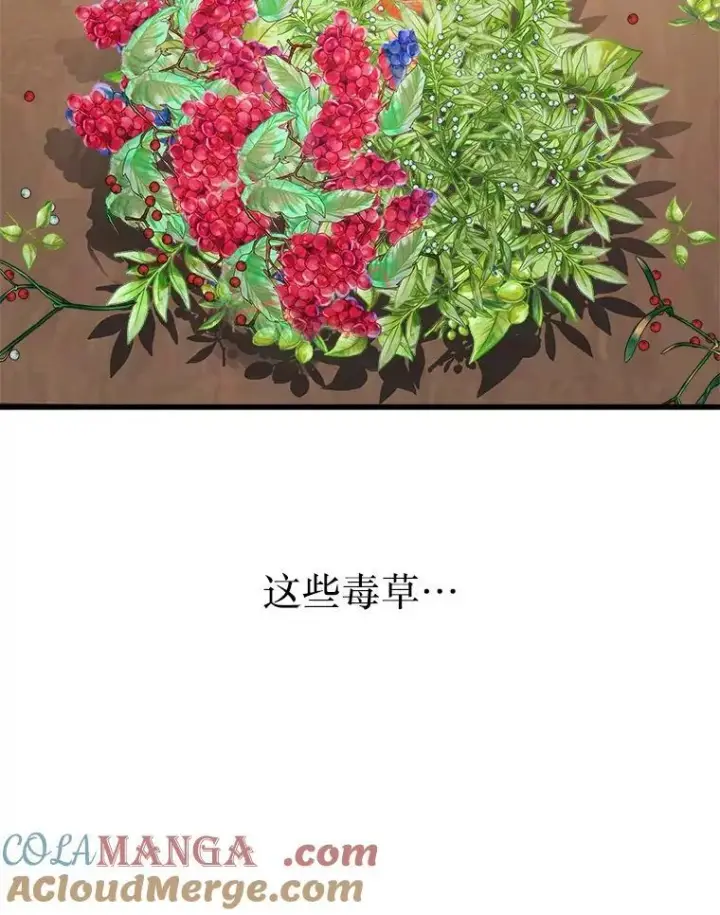 漫画《神级英雄们的继承者》12.夺冠第53张图