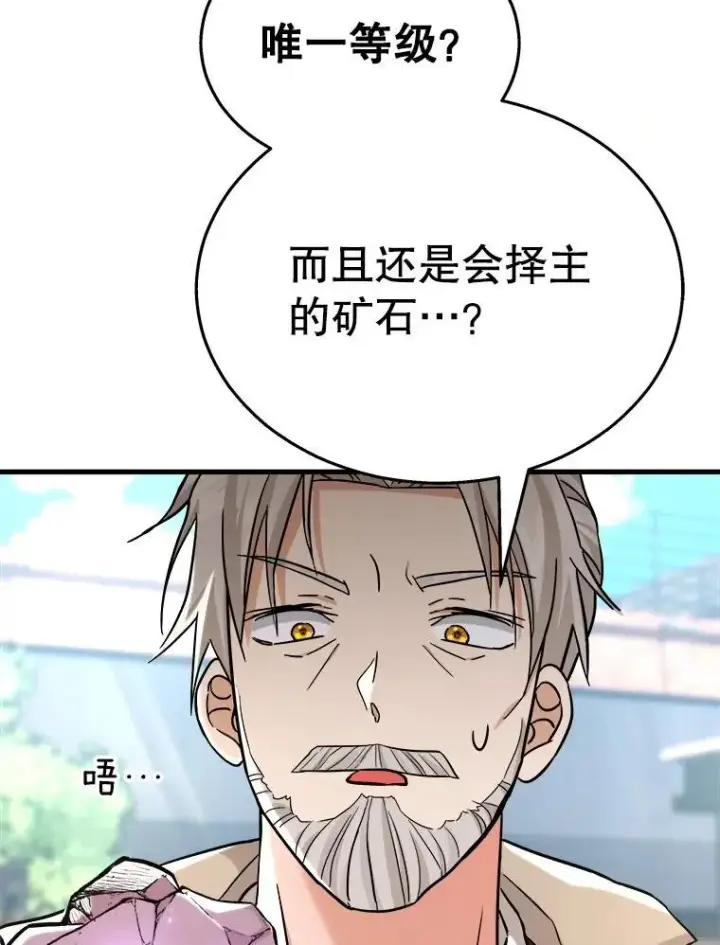 漫画《神级英雄们的继承者》13.择主的矿物第91张图