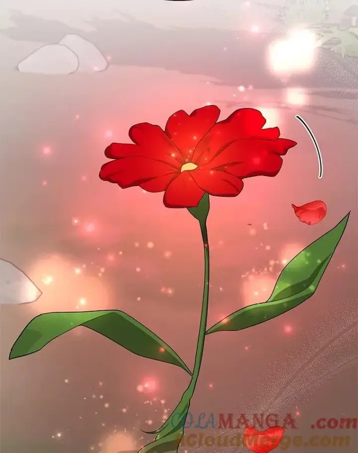 《神级英雄们的继承者》53.创造？图117