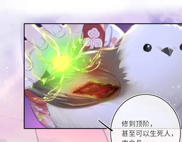 漫画《神医凰后》第12话 师徒幻梦第33张图