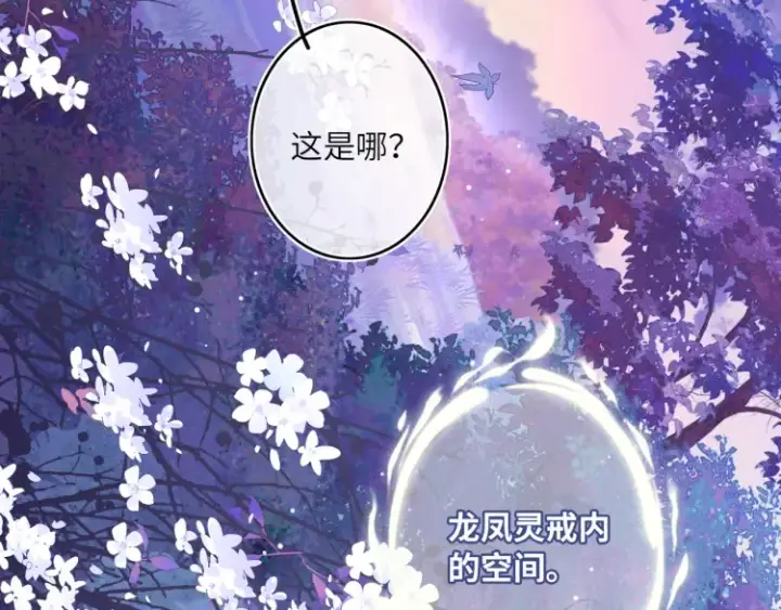漫画《神医凰后》序章 天才变废材第51张图