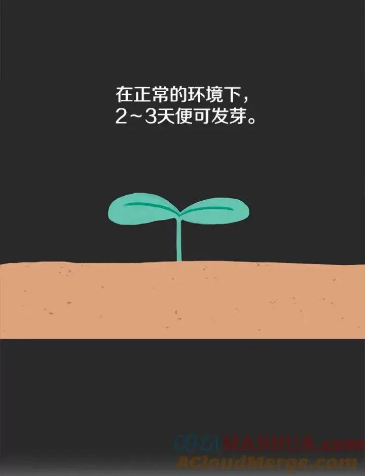 《时间静止的房子》5.时间图29