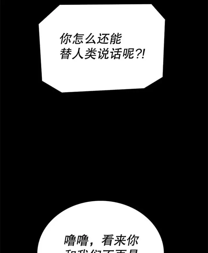《时间静止的房子》46.噜噜的一生图42