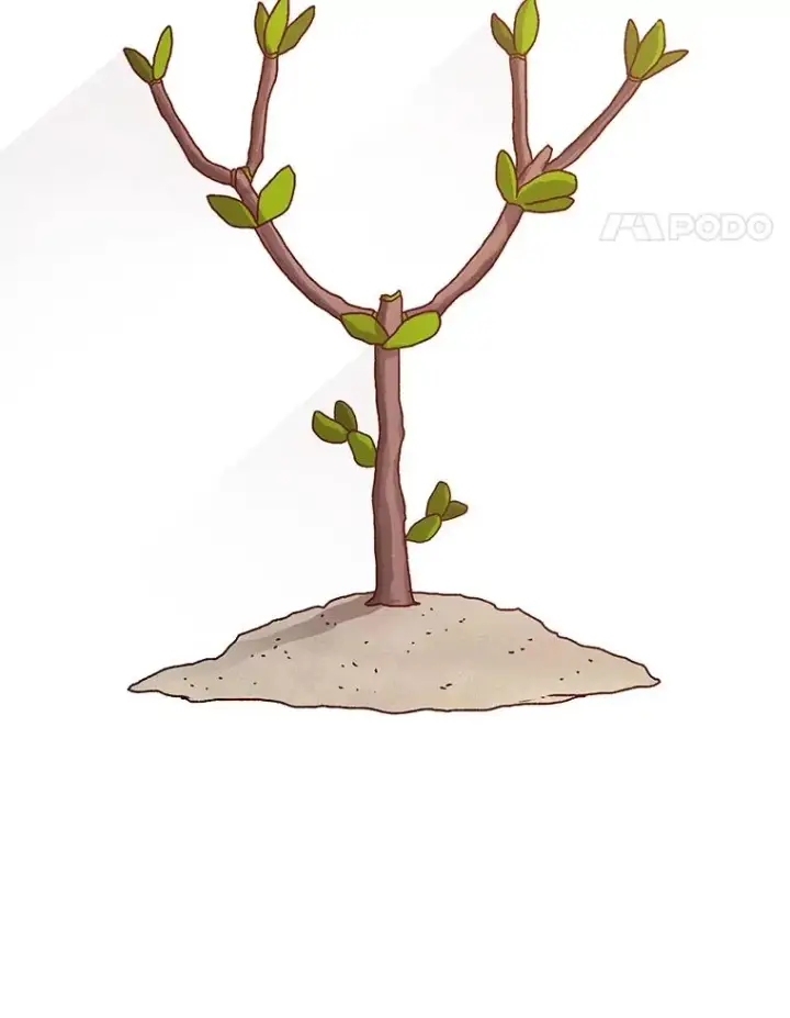 《时间静止的房子》52.去轮王国图22
