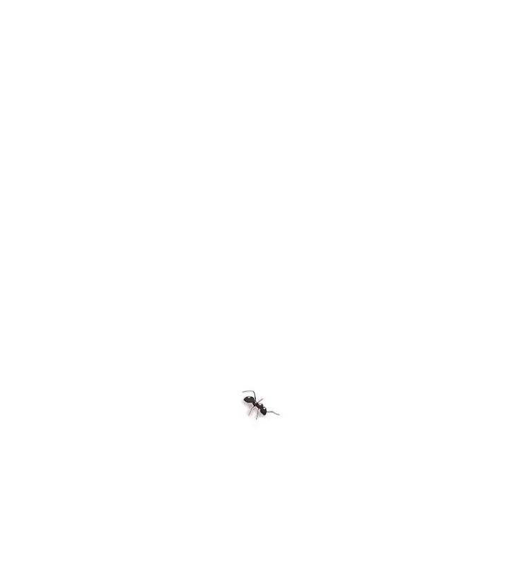 《时间静止的房子》103.蝼蚁图187
