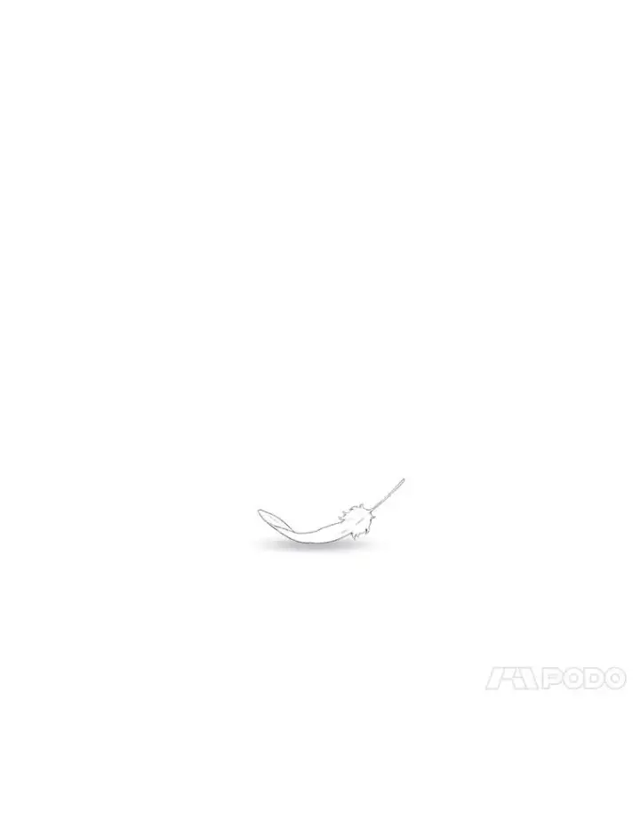 《时间静止的房子》122.比赛后话图150